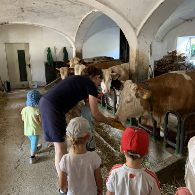 im Stall beim Füttern
